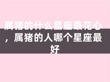 属猪的什么星座最花心，属猪的人哪个星座最好