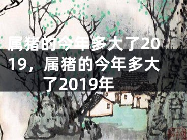 属猪的今年多大了2019,属猪的今年多大了2019年