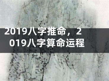 2019八字推命,2019八字算命运程