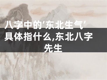 八字中的‘东北生气’具体指什么,东北八字先生