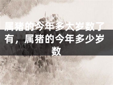 属猪的今年多大岁数了有，属猪的今年多少岁数