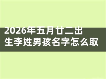 2026年五月廿二出生李姓男孩名字怎么取