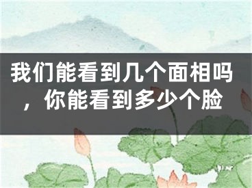 我们能看到几个面相吗，你能看到多少个脸