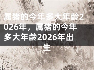 属猪的今年多大年龄2026年，属猪的今年多大年龄2026年出生