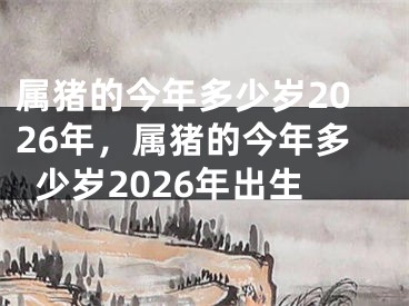 属猪的今年多少岁2026年，属猪的今年多少岁2026年出生