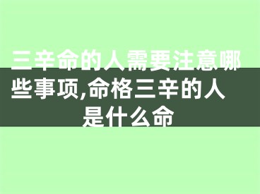 三辛命的人需要注意哪些事项,命格三辛的人是什么命