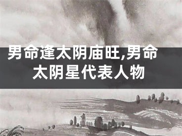 男命逢太阴庙旺,男命太阴星代表人物