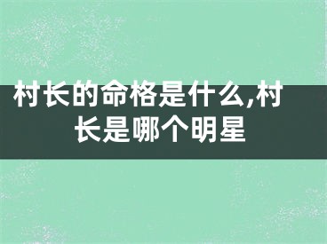 村长的命格是什么,村长是哪个明星