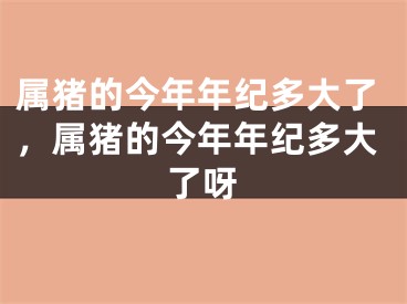 属猪的今年年纪多大了，属猪的今年年纪多大了呀