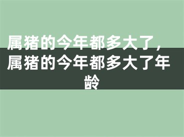 属猪的今年都多大了，属猪的今年都多大了年龄