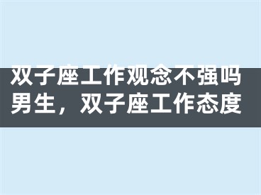 双子座工作观念不强吗男生，双子座工作态度