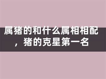 属猪的和什么属相相配,猪的克星第一名