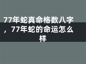 77年蛇真命格数八字，77年蛇的命运怎么样
