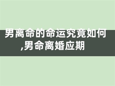 男离命的命运究竟如何,男命离婚应期