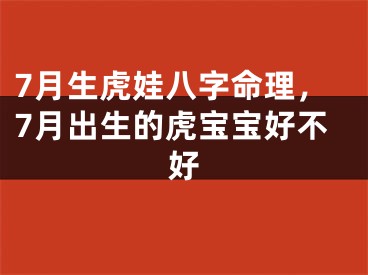 7月生虎娃八字命理，7月出生的虎宝宝好不好