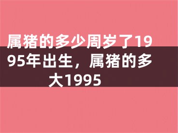 属猪的多少周岁了1995年出生，属猪的多大1995