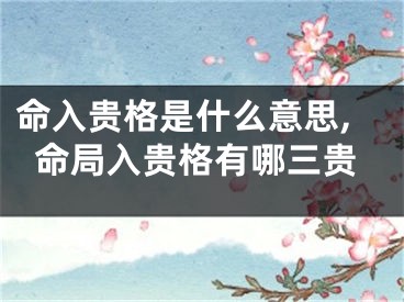 命入贵格是什么意思,命局入贵格有哪三贵