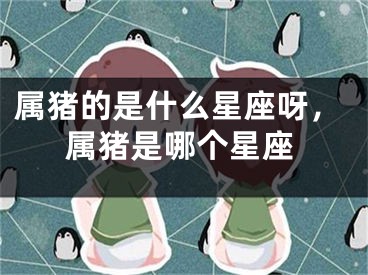 属猪的是什么星座呀，属猪是哪个星座