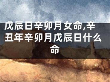 戊辰日辛卯月女命,辛丑年辛卯月戊辰日什么命