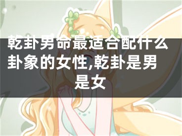 乾卦男命最适合配什么卦象的女性,乾卦是男是女