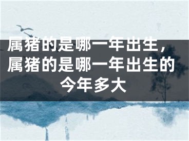 属猪的是哪一年出生，属猪的是哪一年出生的今年多大