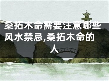 桑拓木命需要注意哪些风水禁忌,桑拓木命的人