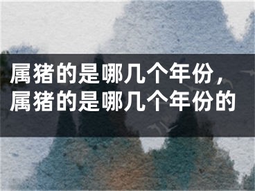属猪的是哪几个年份，属猪的是哪几个年份的