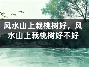 风水山上栽桃树好，风水山上栽桃树好不好