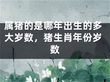 属猪的是哪年出生的多大岁数，猪生肖年份岁数