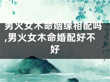 男火女木命姻缘相配吗,男火女木命婚配好不好