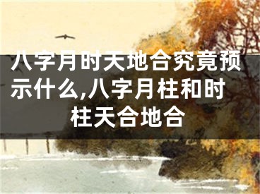 八字月时天地合究竟预示什么,八字月柱和时柱天合地合