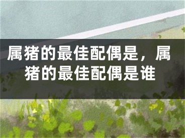 属猪的最佳配偶是，属猪的最佳配偶是谁
