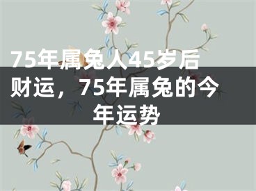 75年属兔人45岁后财运，75年属兔的今年运势