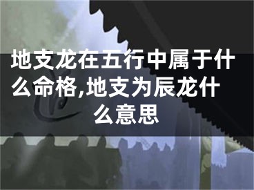 地支龙在五行中属于什么命格,地支为辰龙什么意思
