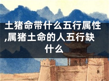 土猪命带什么五行属性,属猪土命的人五行缺什么