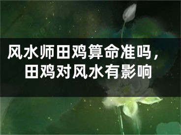 风水师田鸡算命准吗，田鸡对风水有影响