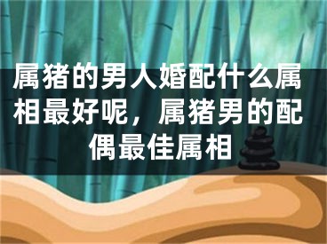 属猪的男人婚配什么属相最好呢，属猪男的配偶最佳属相