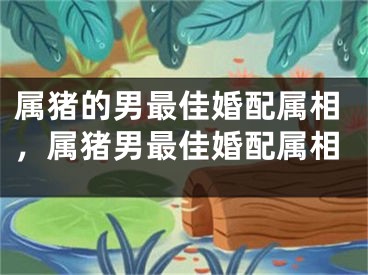 属猪的男最佳婚配属相，属猪男最佳婚配属相