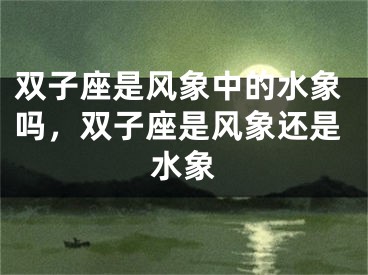 双子座是风象中的水象吗，双子座是风象还是水象
