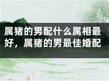 属猪的男配什么属相最好，属猪的男最佳婚配