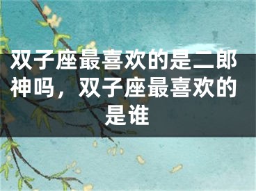双子座最喜欢的是二郎神吗，双子座最喜欢的是谁
