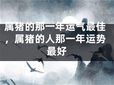 属猪的那一年运气最佳，属猪的人那一年运势最好