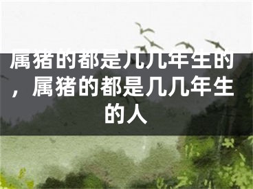 属猪的都是几几年生的，属猪的都是几几年生的人