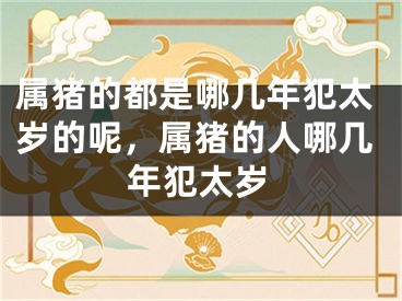 属猪的都是哪几年犯太岁的呢，属猪的人哪几年犯太岁