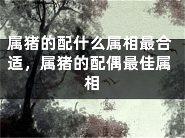 属猪的配什么属相最合适，属猪的配偶最佳属相