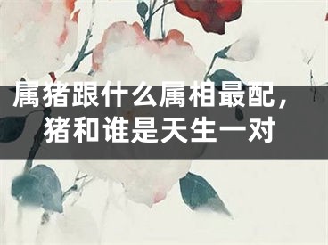 属猪跟什么属相最配，猪和谁是天生一对