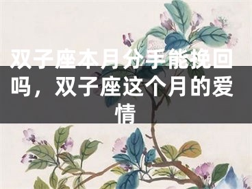 双子座本月分手能挽回吗，双子座这个月的爱情