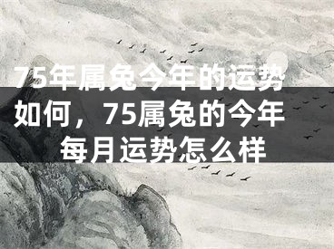 75年属兔今年的运势如何，75属兔的今年每月运势怎么样