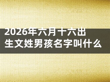 2026年六月十六出生文姓男孩名字叫什么