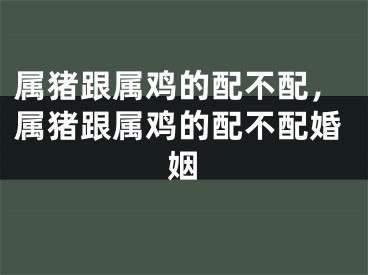 属猪跟属鸡的配不配，属猪跟属鸡的配不配婚姻